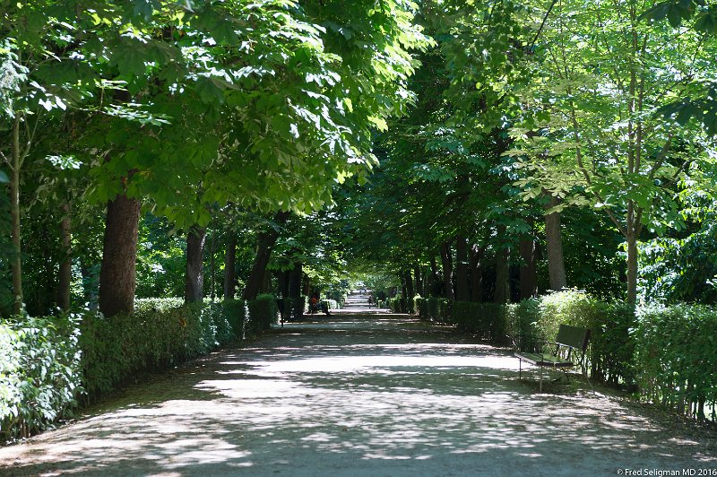 20160607_160207 D4S.jpg - Parque de Retiro, Marid. Located near the city center, it is entirely surrounded by 'city'